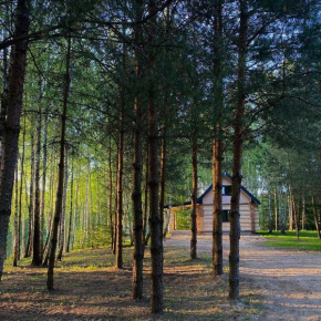 Leśne Klimaty, Smolniki